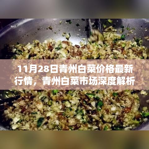 青州白菜市场深度解析，最新行情特性与用户体验报告（11月28日）