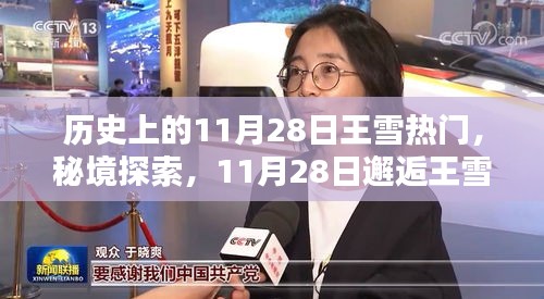 秘境探索，王雪热门小巷的独特风味——揭秘历史中的11月28日邂逅之旅