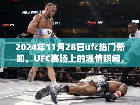 UFC赛场温情瞬间与难忘记忆，聚焦2024年11月28日热门新闻