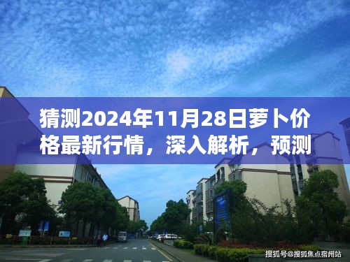 独家解析，预测与评测2024年11月28日萝卜价格最新行情及深度分析