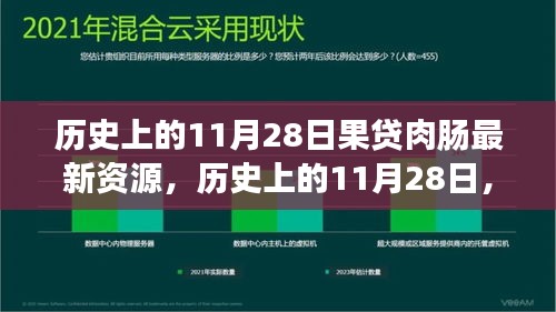 探寻果贷肉肠最新资源之旅，历史上的11月28日揭秘日返回搜狐查看更多内容