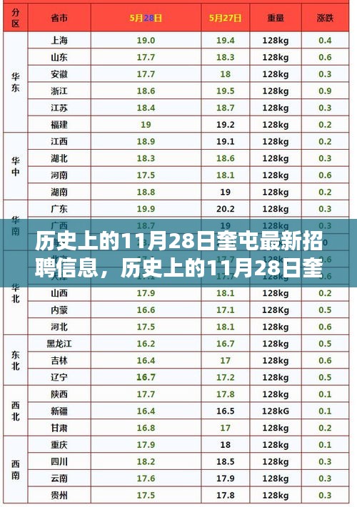 历史上的11月28日奎屯最新招聘信息全攻略，初学者与进阶用户获取招聘信息渠道解析