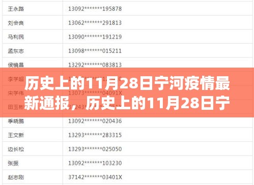 历史上的11月28日宁河疫情最新通报详解，进展、策略与了解之路