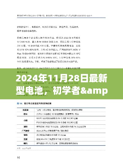 初学者与进阶用户指南，2024年最新型电池使用详解与安装步骤