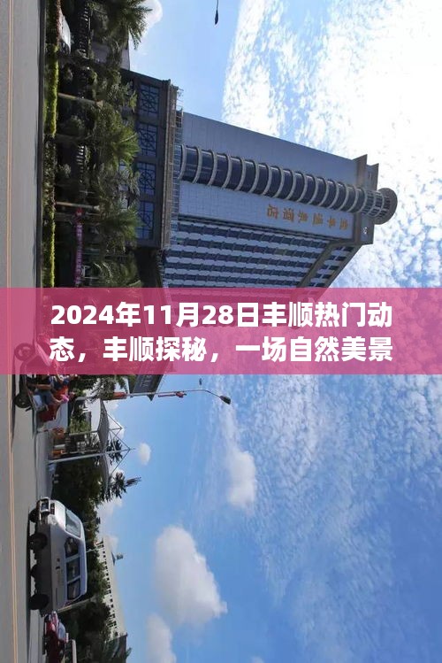 丰顺探秘，自然美景的心灵之旅——丰顺热门动态回顾 2024年11月28日