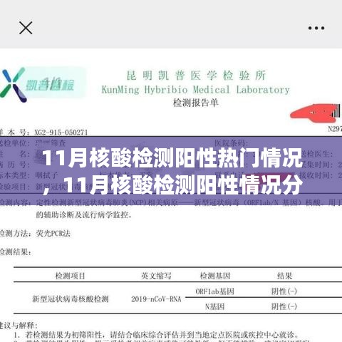 11月核酸检测阳性热点深度解析，情况分析与探讨