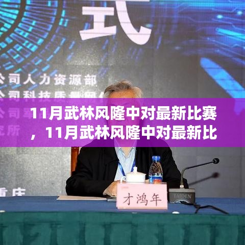 揭秘武林风隆中对最新比赛，热血格斗盛宴的台前幕后故事