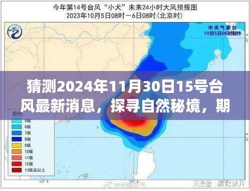 探寻自然秘境，期待与十五号台风的不期而遇——2024年11月旅行启示录