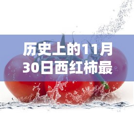 历史上的11月30日西红柿价格行情回顾与影响