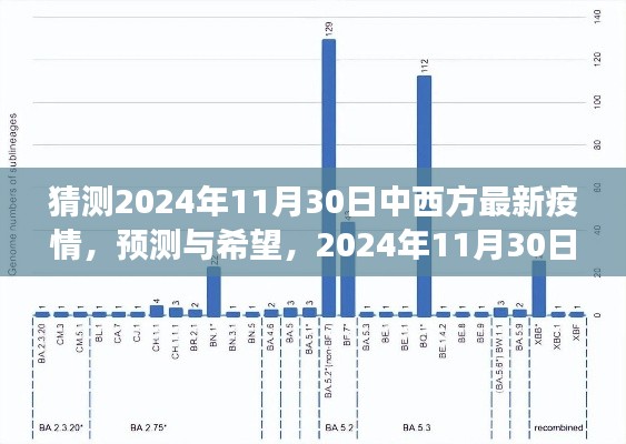 2024年11月30日中西方疫情展望，预测与希望