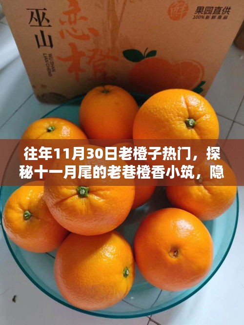 探秘老巷橙香小筑，十一月尾的老橙子热门风味