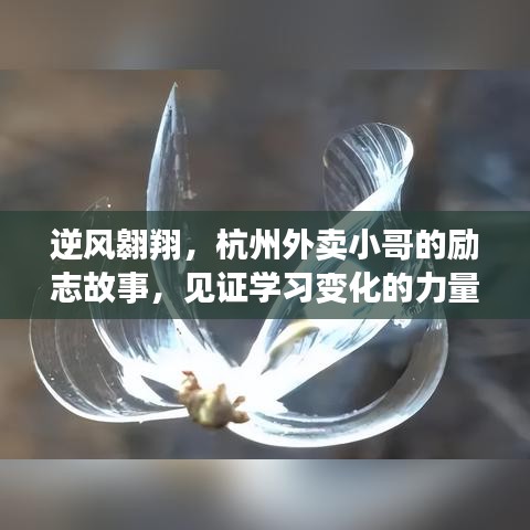 杭州外卖小哥逆风翱翔，励志人生见证学习力量与幽默风采