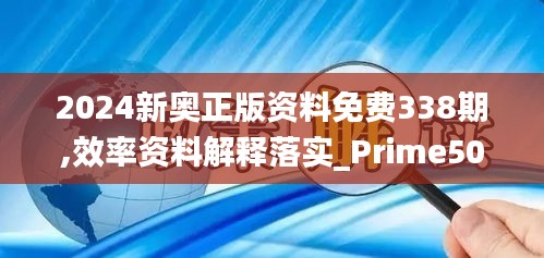 2024新奥正版资料免费338期,效率资料解释落实_Prime50.298-7