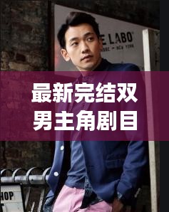 双男主剧目深度解析，最新完结作品探讨