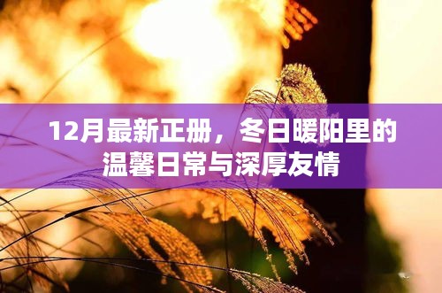 冬日暖阳下的温馨日常与深厚友情，12月最新正册