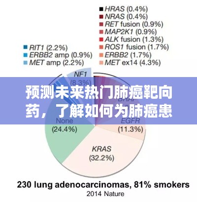 预测未来热门肺癌靶向药物及最佳治疗策略选择指南