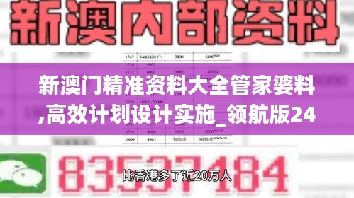 新澳门精准资料大全管家婆料,高效计划设计实施_领航版24.321-4