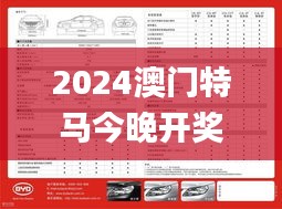 2024澳门特马今晚开奖53期,经典解析说明_黄金版12.429-8