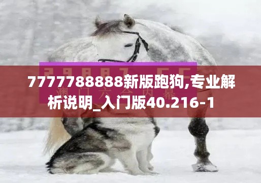 7777788888新版跑狗,专业解析说明_入门版40.216-1