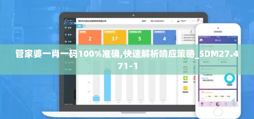 管家婆一肖一码100%准确,快速解析响应策略_5DM27.471-1