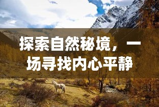 探索自然秘境之旅，寻找内心平静的启程，12月2日启程！