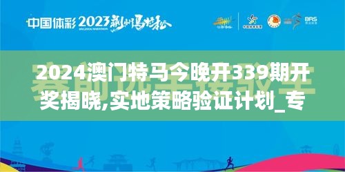 2024澳门特马今晚开339期开奖揭晓,实地策略验证计划_专属版29.521-3