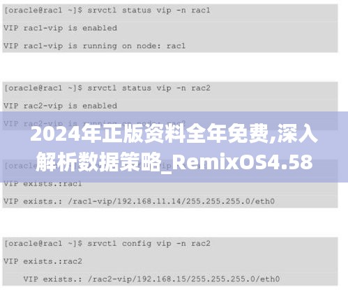 2024年正版资料全年免费,深入解析数据策略_RemixOS4.584-2