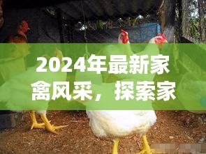 探索家禽风采，家禽养殖新纪元展望（2024年）