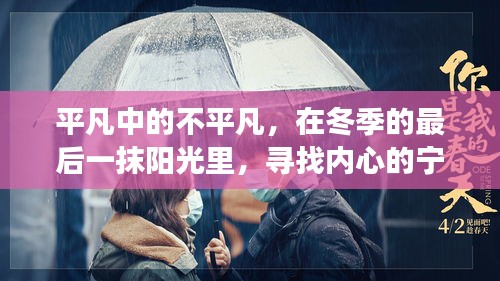 冬季暖阳下的内心宁静之旅，平凡中的非凡寻找