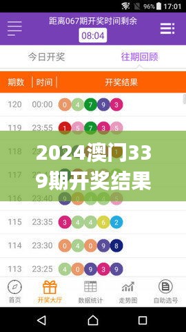 2024澳门339期开奖结果查询,深入执行方案数据_V289.550-6