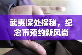 武夷深处探秘与小巷宝藏小店，纪念币预约新风潮