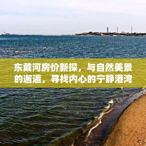 东戴河房价探索，自然美景下的宁静港湾