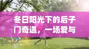 冬日阳光后子门奇遇，爱的温馨陪伴旅程