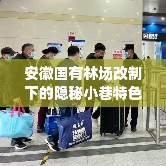 安徽国有林场改制下的隐秘小巷特色小店探秘之旅