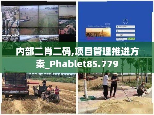 内部二肖二码,项目管理推进方案_Phablet85.779