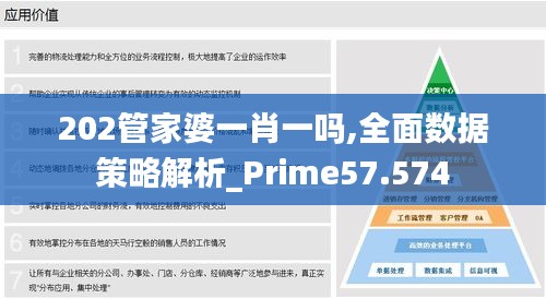 202管家婆一肖一吗,全面数据策略解析_Prime57.574