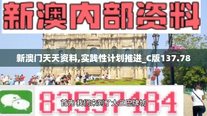 新澳门天天资料,实践性计划推进_C版137.780