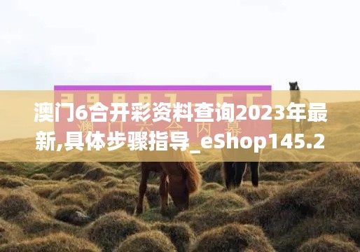 澳门6合开彩资料查询2023年最新,具体步骤指导_eShop145.286