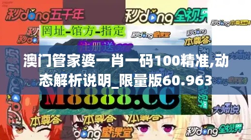 澳门管家婆一肖一码100精准,动态解析说明_限量版60.963