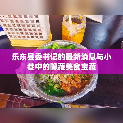 乐东县委书记最新动态揭秘，小巷中的美食宝藏探索