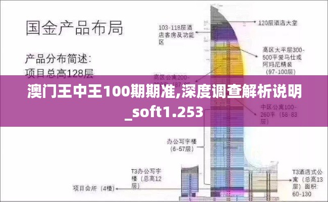 澳门王中王100期期准,深度调查解析说明_soft1.253