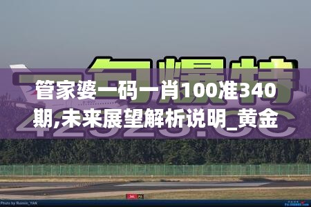 管家婆一码一肖100准340期,未来展望解析说明_黄金版30.721-4