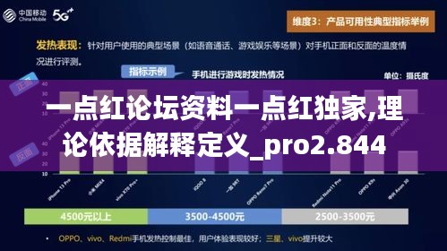 一点红论坛资料一点红独家,理论依据解释定义_pro2.844