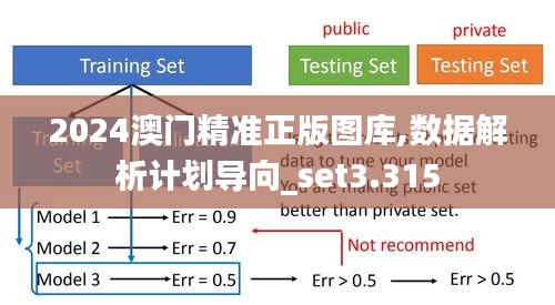 2024澳门精准正版图库,数据解析计划导向_set3.315