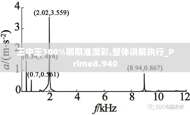 王中王100%期期准澳彩,整体讲解执行_Prime8.940