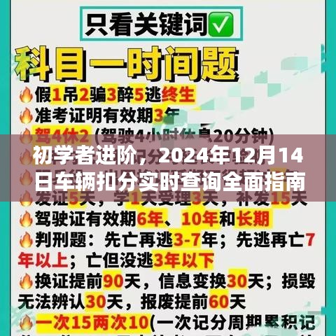 初学者进阶，2024年车辆扣分实时查询全面指南