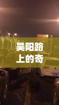 吴阳路奇遇与路况之旅，温情满溢的2024年冬日记忆