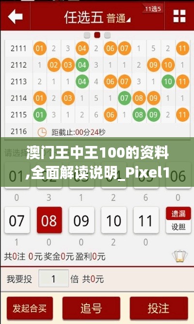 澳门王中王100的资料,全面解读说明_Pixel110.510