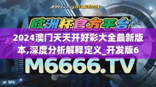 2024澳门天天开好彩大全最新版本,深度分析解释定义_开发版6.282