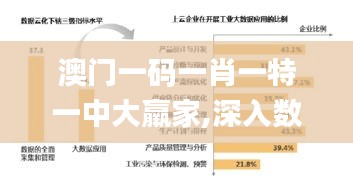 澳门一码一肖一特一中大羸家,深入数据解答解释落实_钻石版12.843